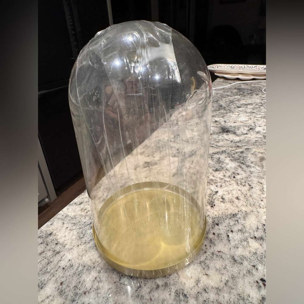 Plastic Cloche with Gold metal Base 8x5in
